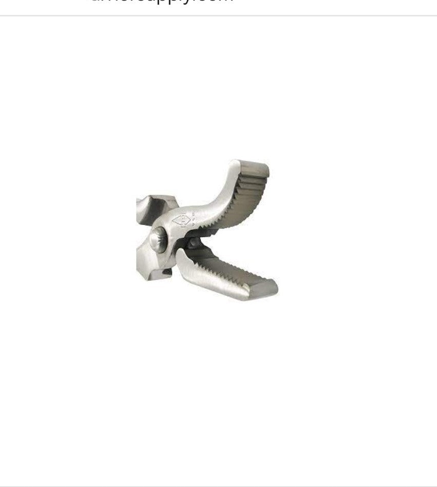 G.E. Forge & Tool Saddle Horse Clincher