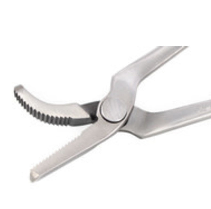 Viking Straight Jaw Clincher (Polished)