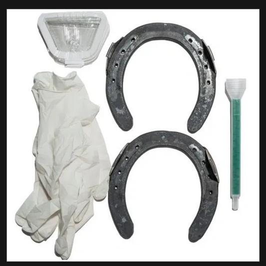 Hanton Steel Glue On Horseshoes (Sx8)